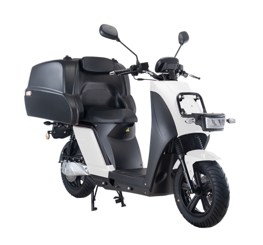 Berini T-Express