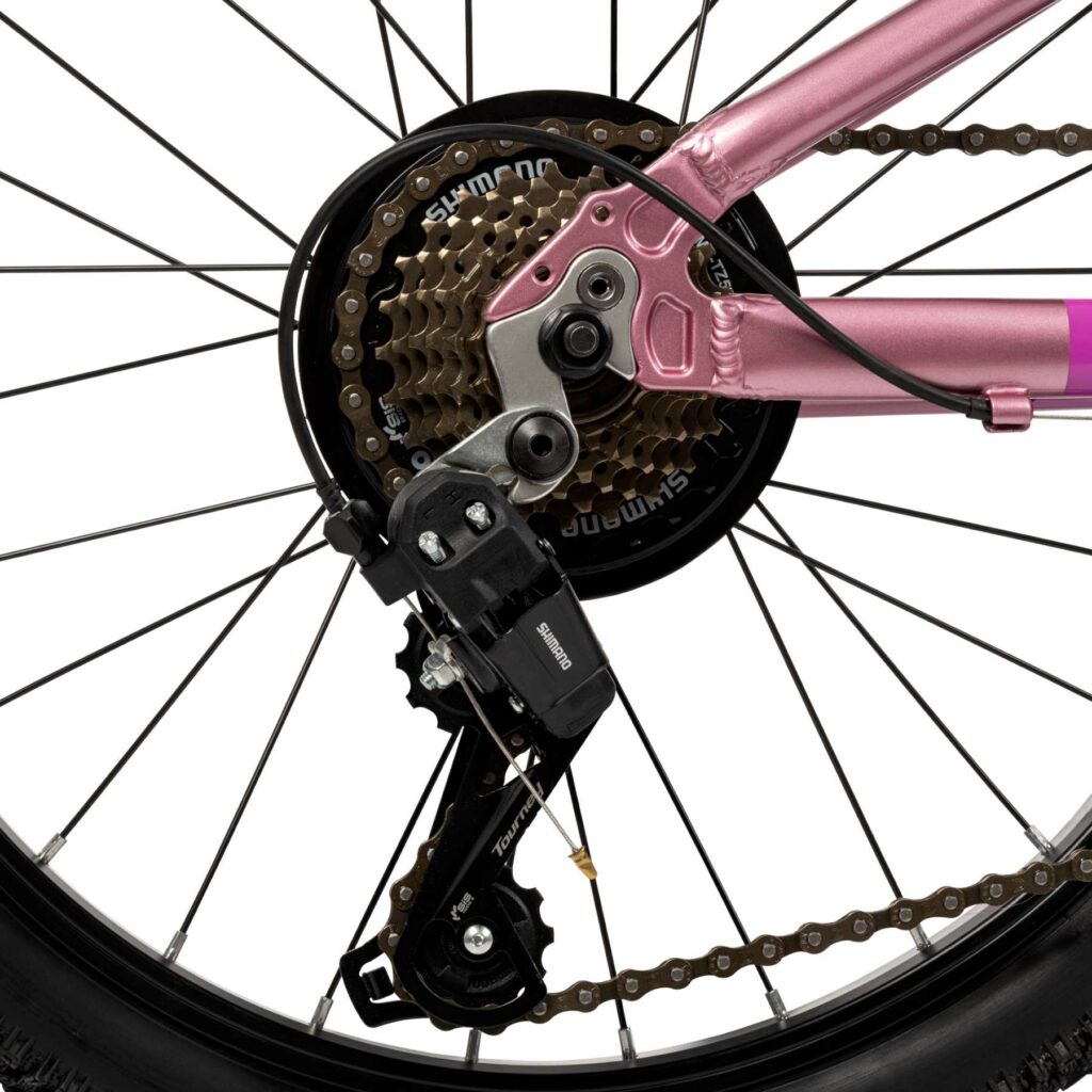 Literide Kinderfiets – Meisjes – 20 inch – Paars/Roze – Twee handremmen