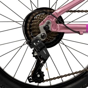 Literide Kinderfiets - Meisjes - 20 inch - Paars/Roze - Twee handremmen